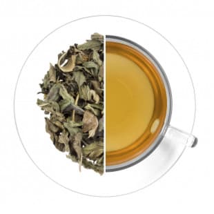 Antigrip Tea
