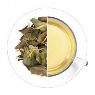 Pineapple Express (WhiteTea + Pineapple & Kiwi)